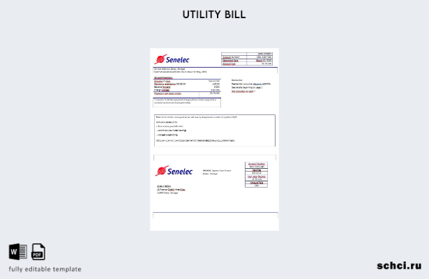 скачать цифровую версию шаблона счета за электроэнергию Сенегала Senelec Agence 